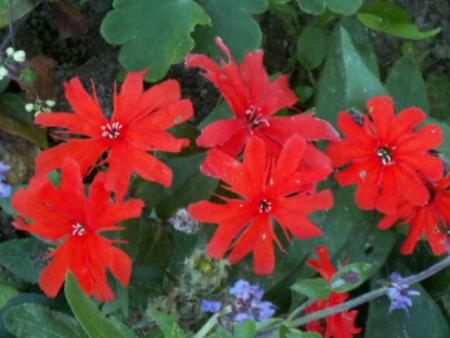gallery_4382_204_8150.jpg