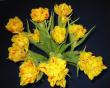 tn_gallery_14_201_13557.jpg