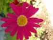 tn_gallery_4382_204_102676.jpg