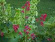 tn_gallery_4382_204_47572.jpg