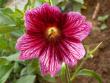 tn_gallery_4382_204_52680.jpg