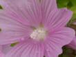 tn_gallery_4382_204_56496.jpg