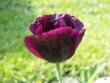 tn_gallery_4382_204_6107.jpg