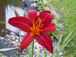 tn_gallery_4382_204_91859.jpg