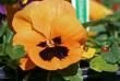 tn_gallery_5447_13_22455.jpg