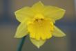 tn_gallery_5447_50_12814.jpg