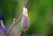 tn_gallery_5447_52_2759.jpg
