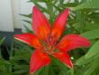 tn_gallery_4382_204_21318.jpg