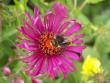 tn_gallery_4382_204_46785.jpg
