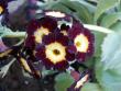 tn_gallery_4382_204_94458.jpg