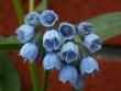 tn_gallery_4382_205_26496.jpg