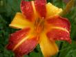 tn_gallery_4382_207_95998.jpg