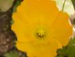 tn_gallery_4382_207_98253.jpg