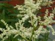 tn_gallery_4382_208_100526.jpg