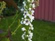 tn_gallery_4382_208_4075.jpg
