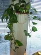 tn_gallery_4382_210_26176.jpg
