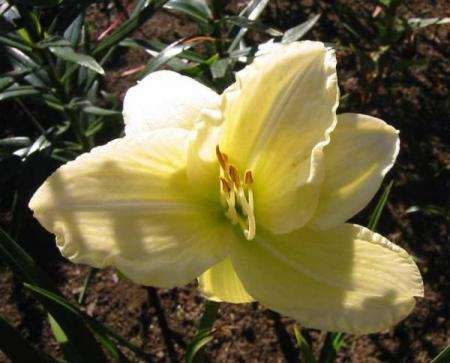 gallery_14_221_30465.jpg