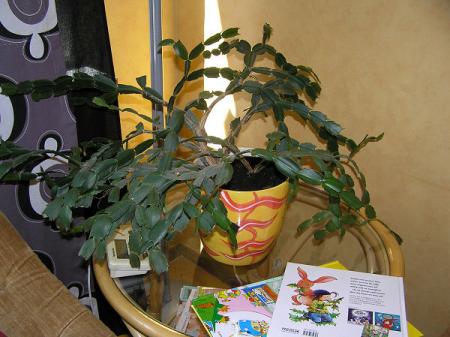 gallery_3710_192_82915.jpg