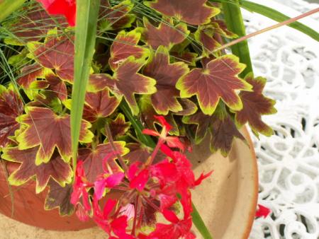 gallery_4382_213_71704.jpg