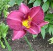 tn_gallery_14_221_3448.jpg