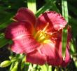 tn_gallery_14_221_37502.jpg