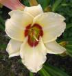 tn_gallery_14_221_42362.jpg