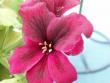 tn_gallery_4382_213_22379.jpg