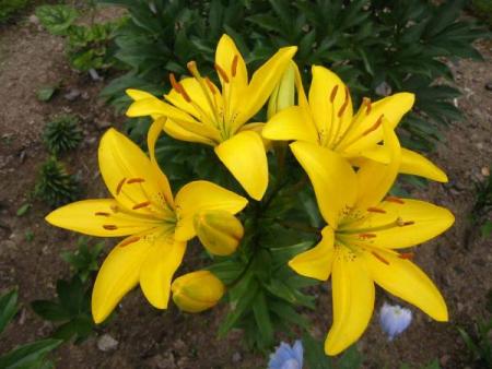 gallery_14_223_43672.jpg