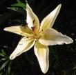 tn_gallery_14_223_22053.jpg