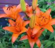 tn_gallery_14_223_41702.jpg