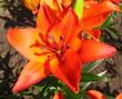 tn_gallery_14_223_9058.jpg