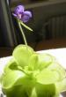 tn_gallery_14_225_28324.jpg