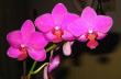 tn_gallery_14_225_20195.jpg