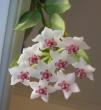 tn_gallery_14_225_2597.jpg