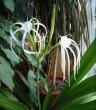 tn_gallery_14_225_26233.jpg