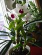 tn_gallery_14_225_61893.jpg