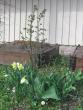 tn_gallery_9418_230_20807.jpg