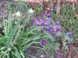 tn_gallery_9418_230_6493.jpg