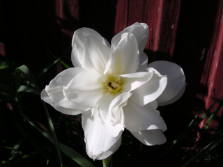 gallery_2778_232_24234.jpg