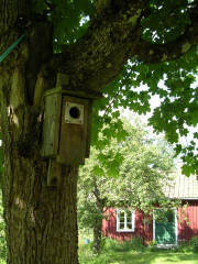 gallery_2778_232_33620.jpg
