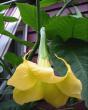 tn_gallery_14_226_37005.jpg