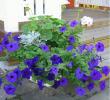 tn_gallery_14_226_62884.jpg