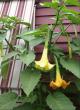 tn_gallery_14_226_9222.jpg