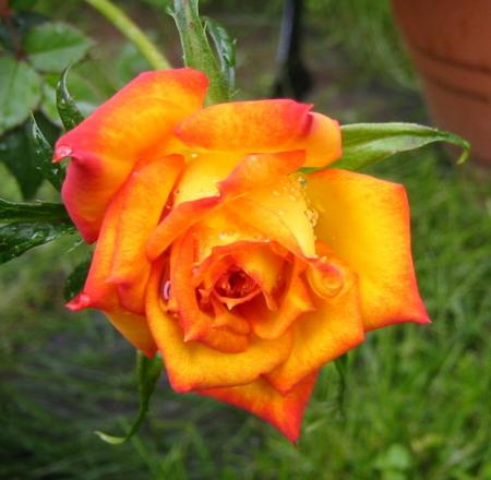 gallery_14_178_974.jpg