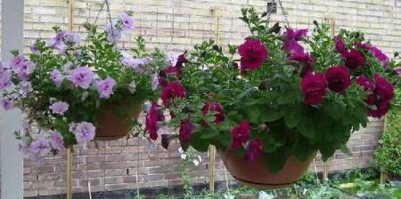 gallery_14_226_15401.jpg