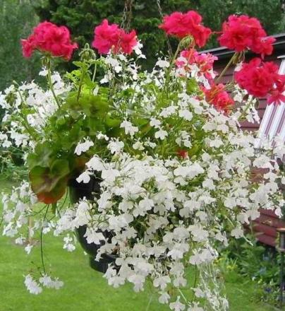 gallery_14_226_76871.jpg