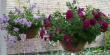 tn_gallery_14_226_15401.jpg