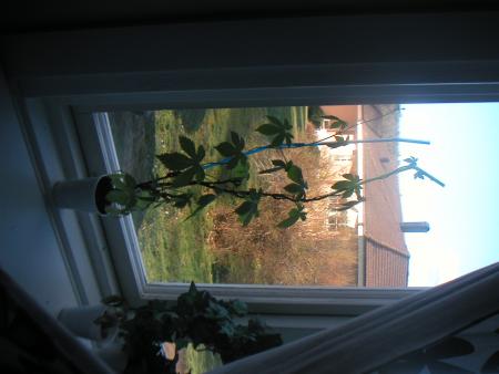 gallery_9091_243_229805.jpg