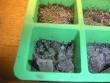 tn_gallery_9091_242_200718.jpg