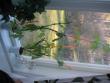 tn_gallery_9091_243_123547.jpg